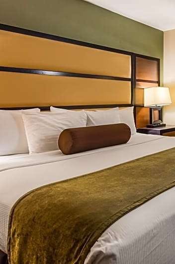 Last Minute Hotel Deals In Vancouver Hoteltonight