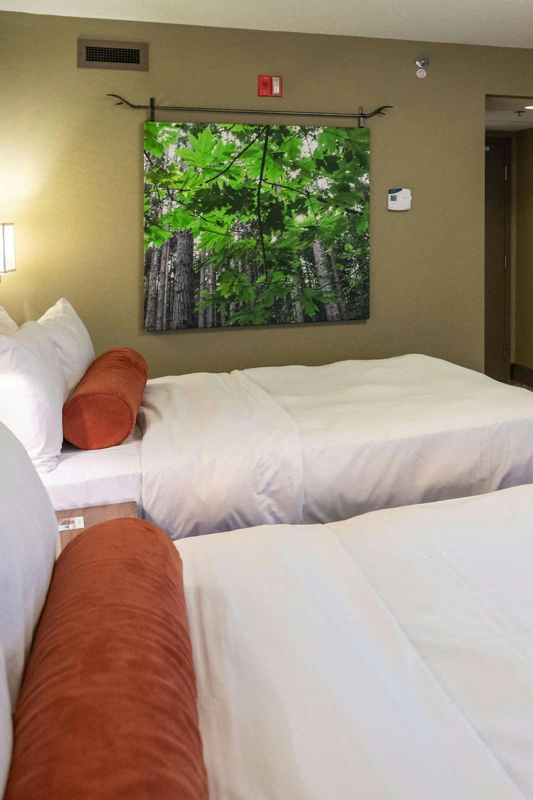 Hotel Banff Caribou Lodge and Spa photo 5