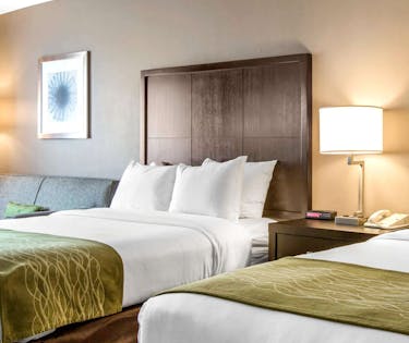 Comfort Inn Suites San Diego Zoo Seaworld Area San Diego