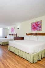 Hotel Hotel Valle de Mexico photo 4