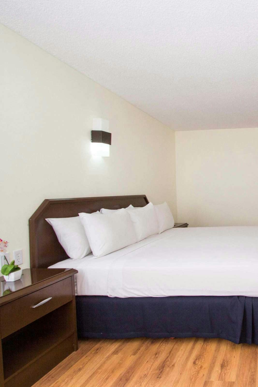 Hotel Hotel Valle de Mexico photo 1