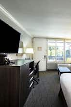 Hotel Palm Garden Hotel photo 3