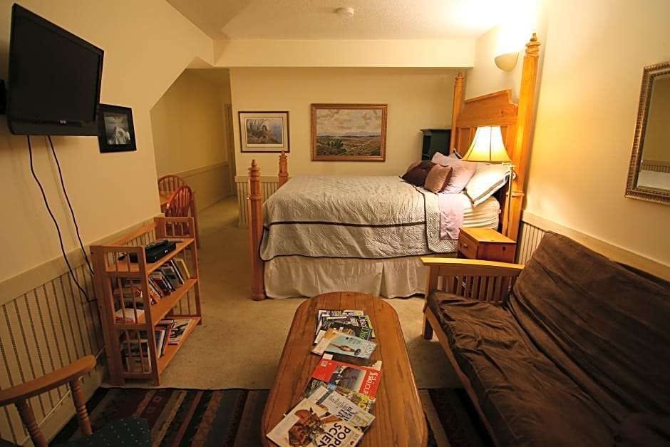 Hotel Ivy Bear B&P photo 5