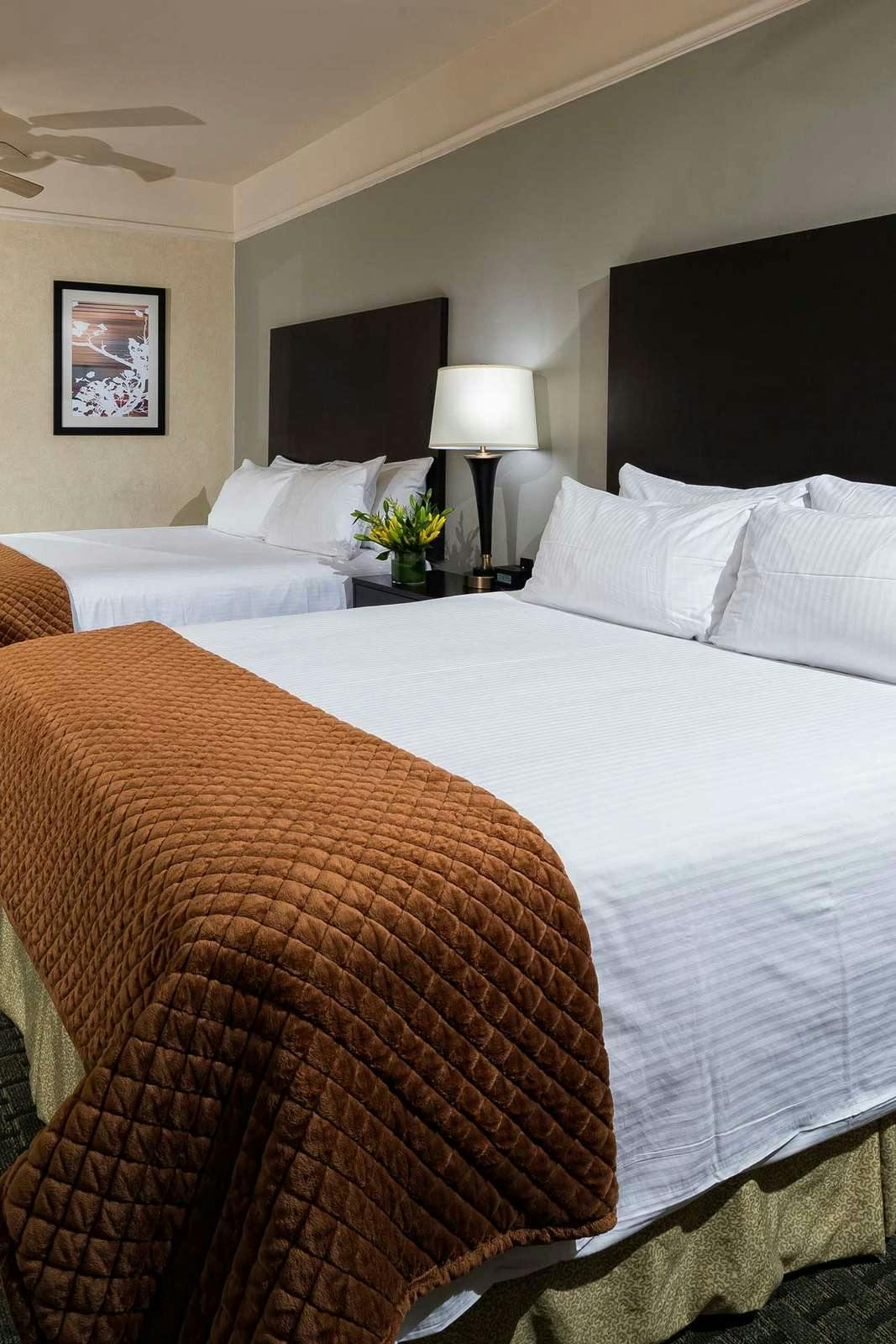 Hotel The Willows Hotel photo 3