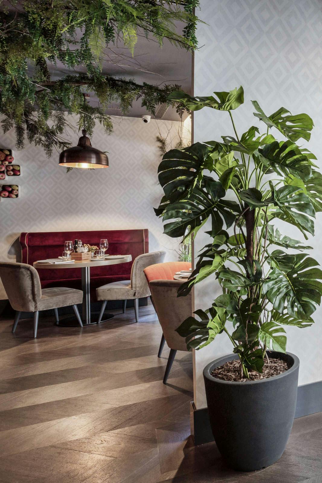 Hotel Catalonia Gran Via Madrid photo 5