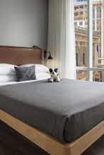Hotel Moxy Boston Downtown photo 2