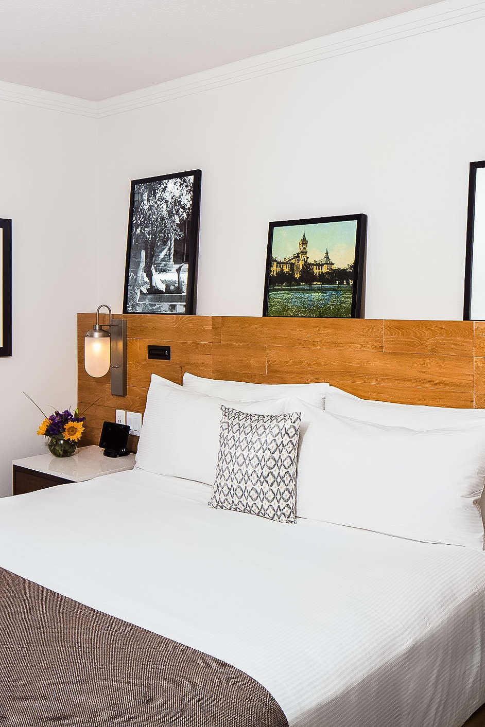 Hotel AT&T Hotel & Conference Center photo 1