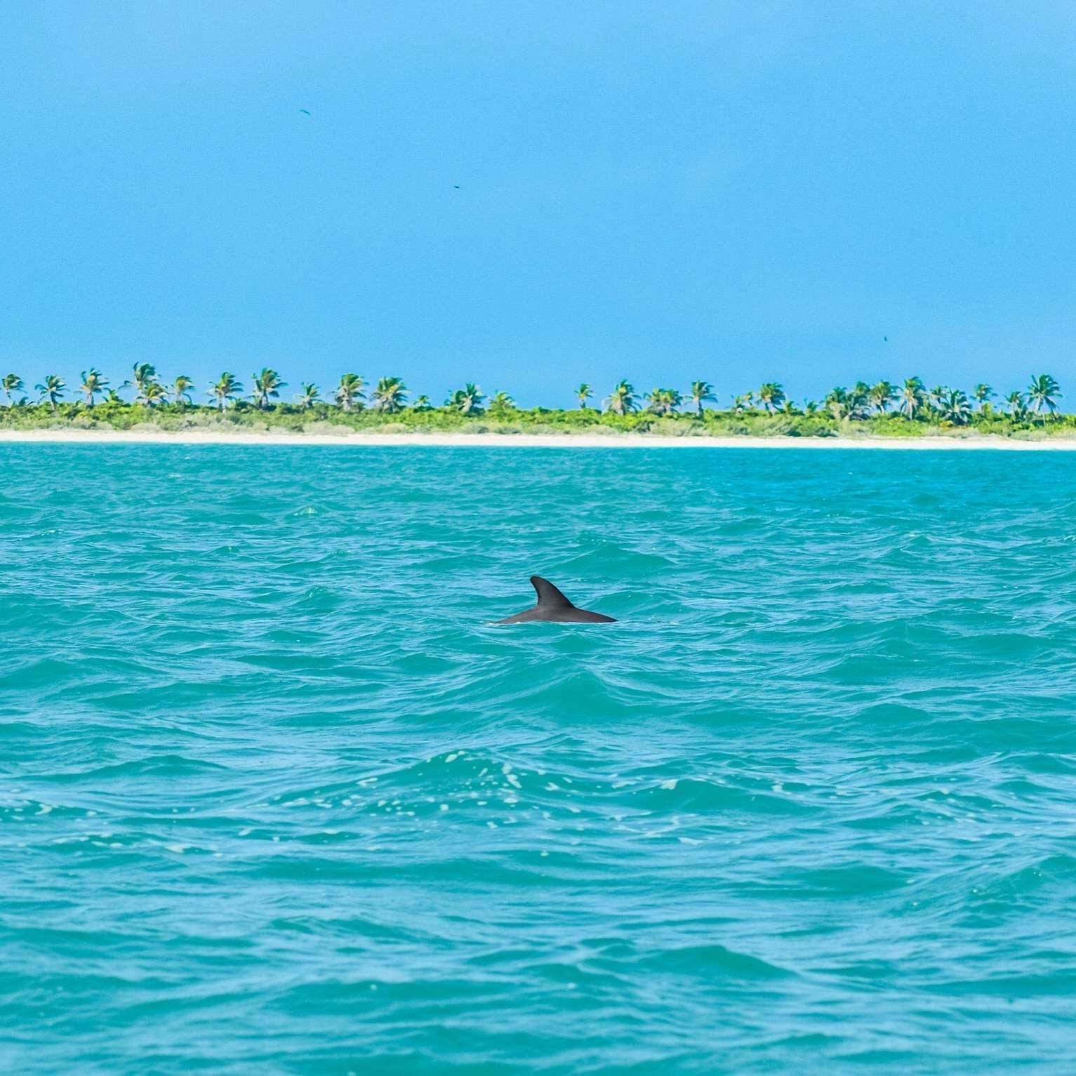 Hotel Casa Maya Holbox photo 3