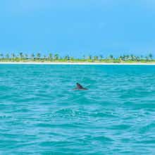 Hotel Casa Maya Holbox photo 3