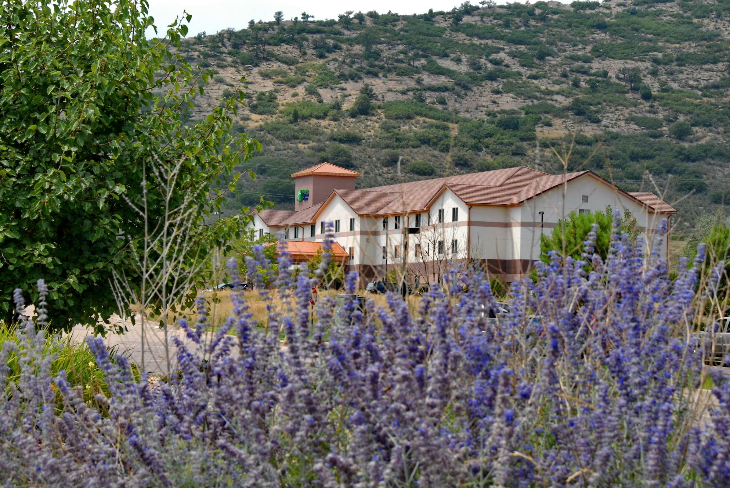 Holiday Inn Express & Suites Denver-Littleton