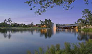 Hotel The Woodlands Resort, Curio Collection by Hilton photo 5