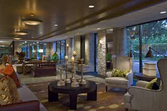 Hotel The Woodlands Resort, Curio Collection by Hilton photo 3