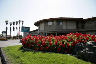 Hotel Sands by the Sea photo 4