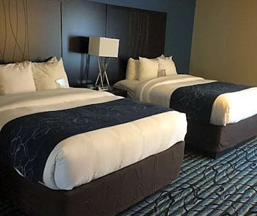 Comfort Suites University Baton Rouge Hoteltonight