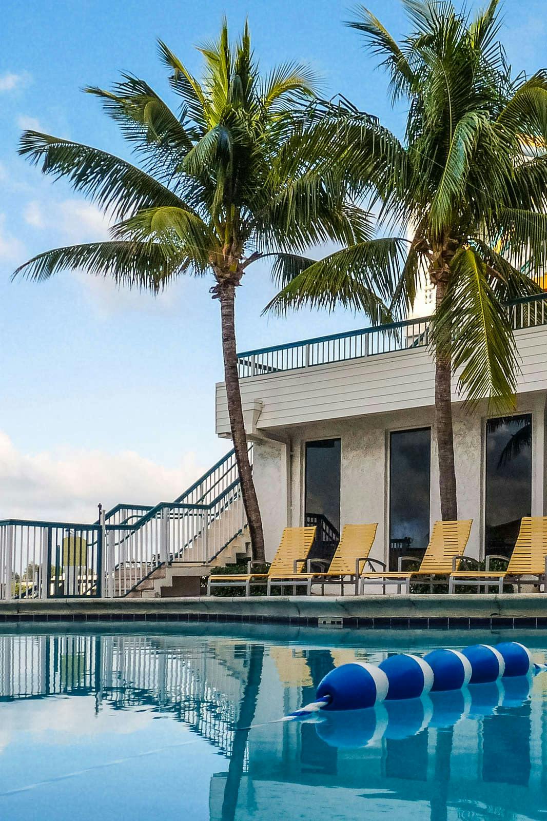 Hotel Palm Tree Club Miami Hotel photo 3