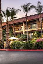 Hotel Pepper Tree Boutique Kitchen Studios Anaheim