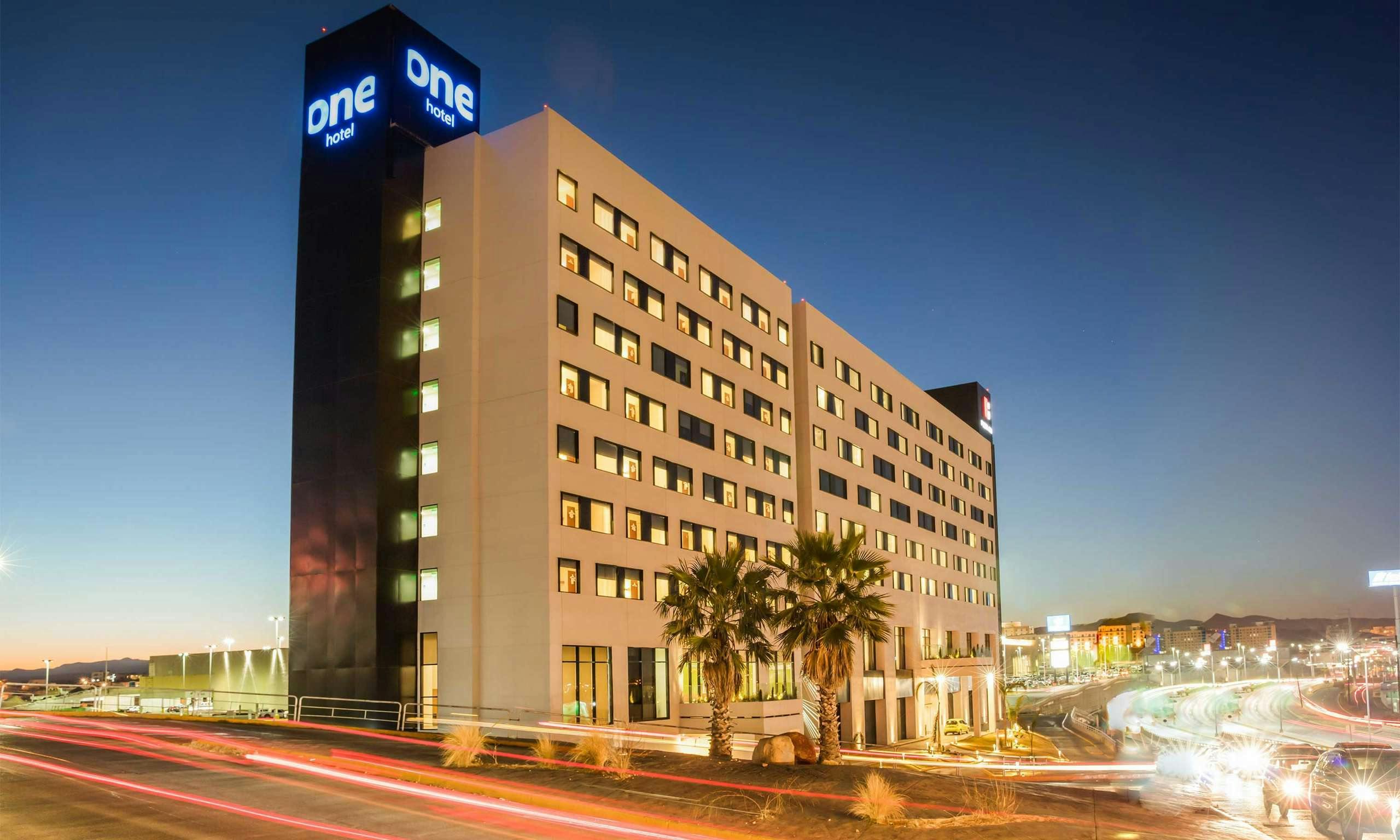 One Chihuahua Fashion Mall