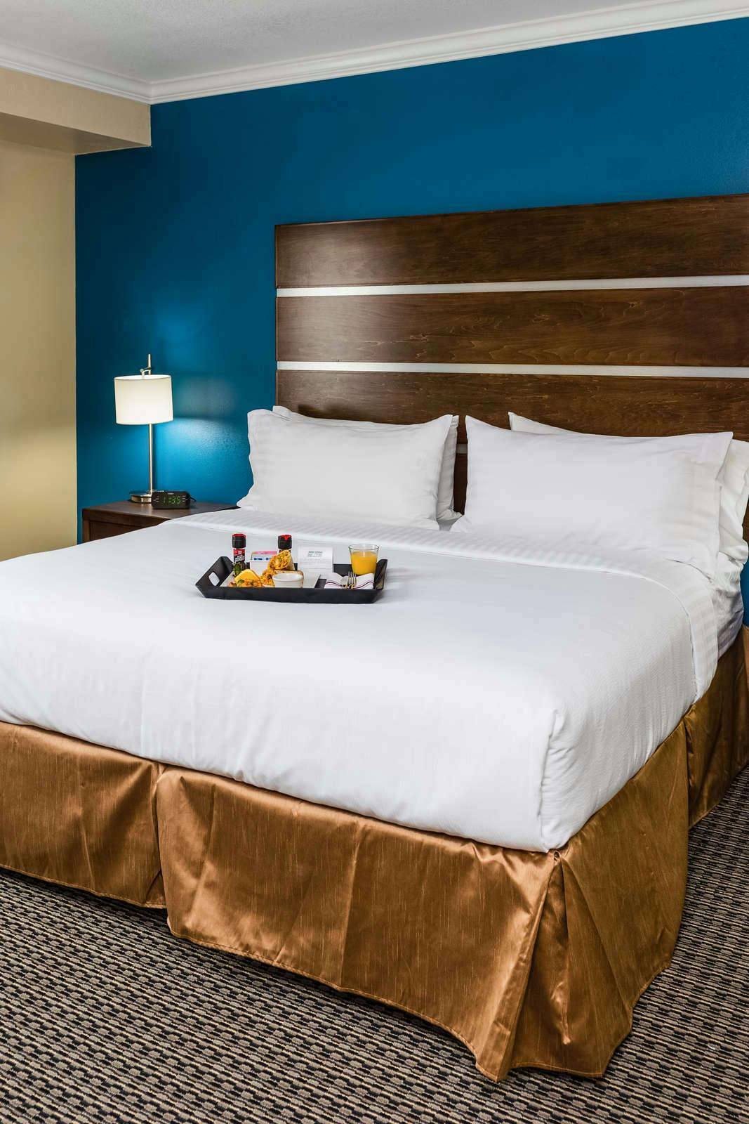 Hotel Holiday Inn Houston Downtown photo 1