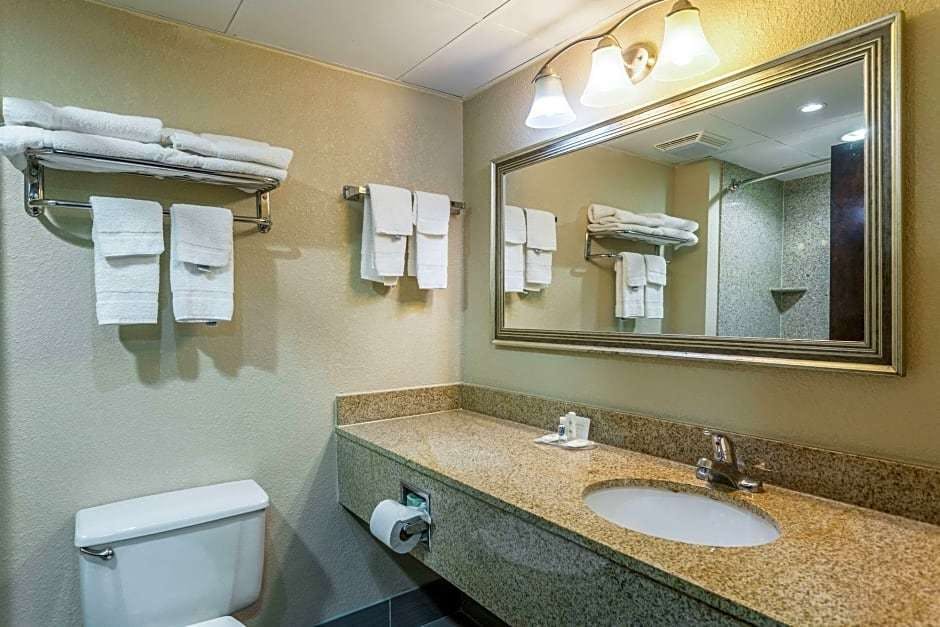 Comfort Inn Decatur Priceville Decatur Al Hoteltonight