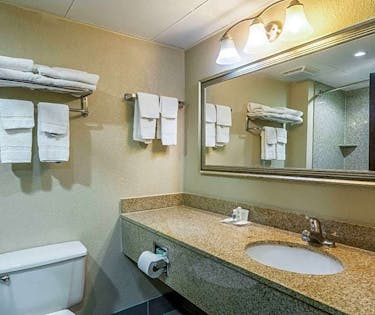 Comfort Inn Decatur Priceville Decatur Al Hoteltonight