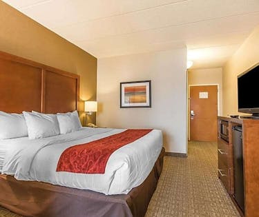 Comfort Suites Richmond Kentucky Around Me Hoteltonight