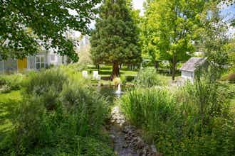 Hotel Lithia Springs Resort photo 3