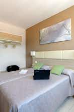 Hotel Hotel Cristina photo 5