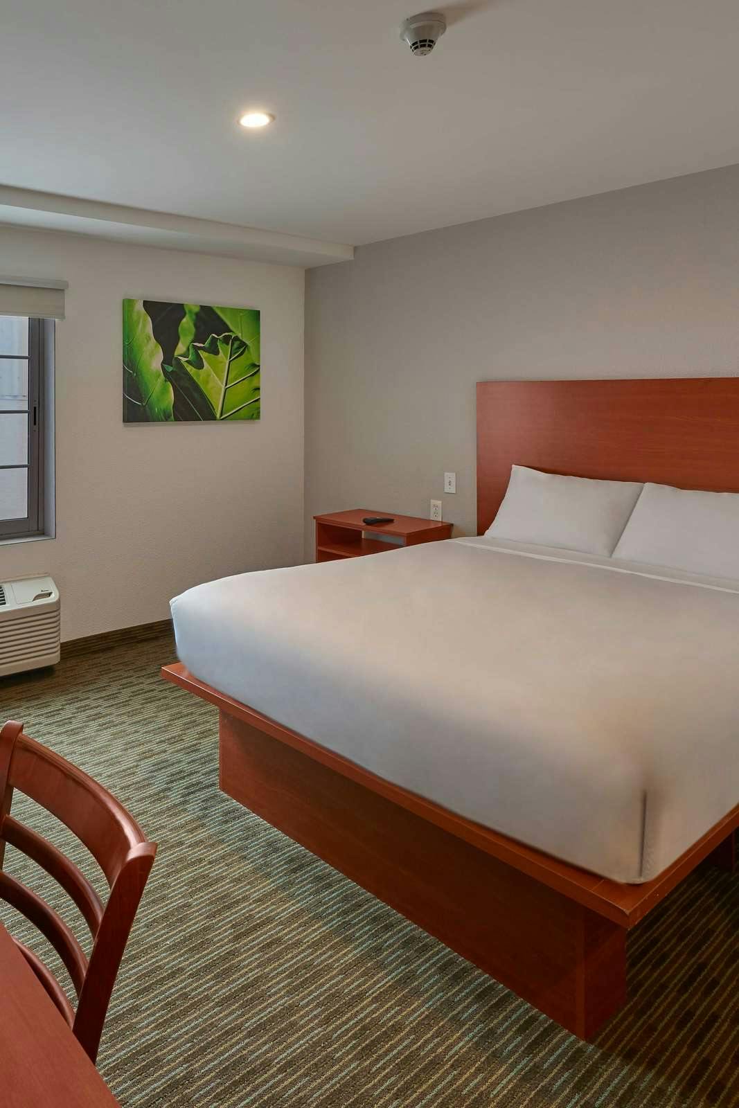 Hotel Extended Suites Monterrey Aeropuerto photo 2