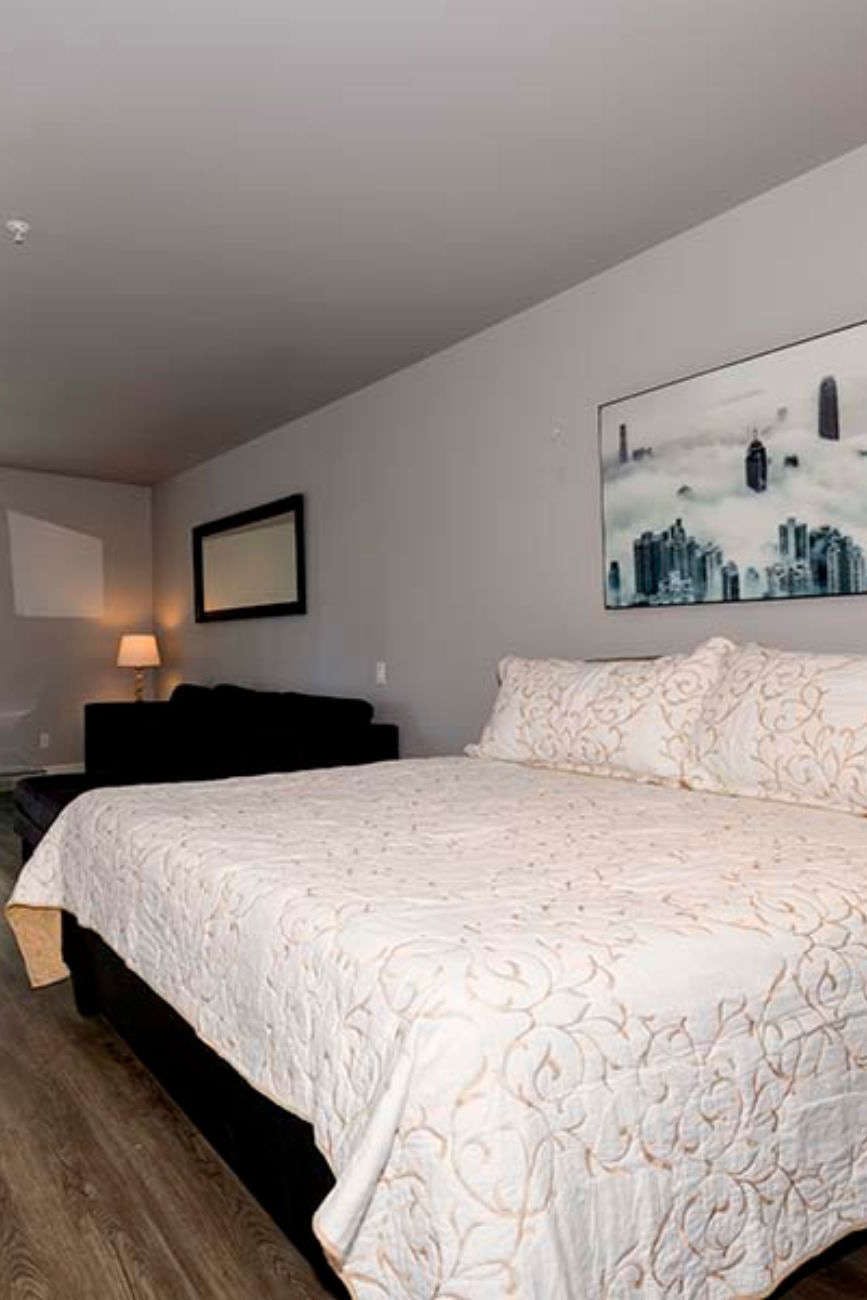 Hotel Solo Suites photo 1