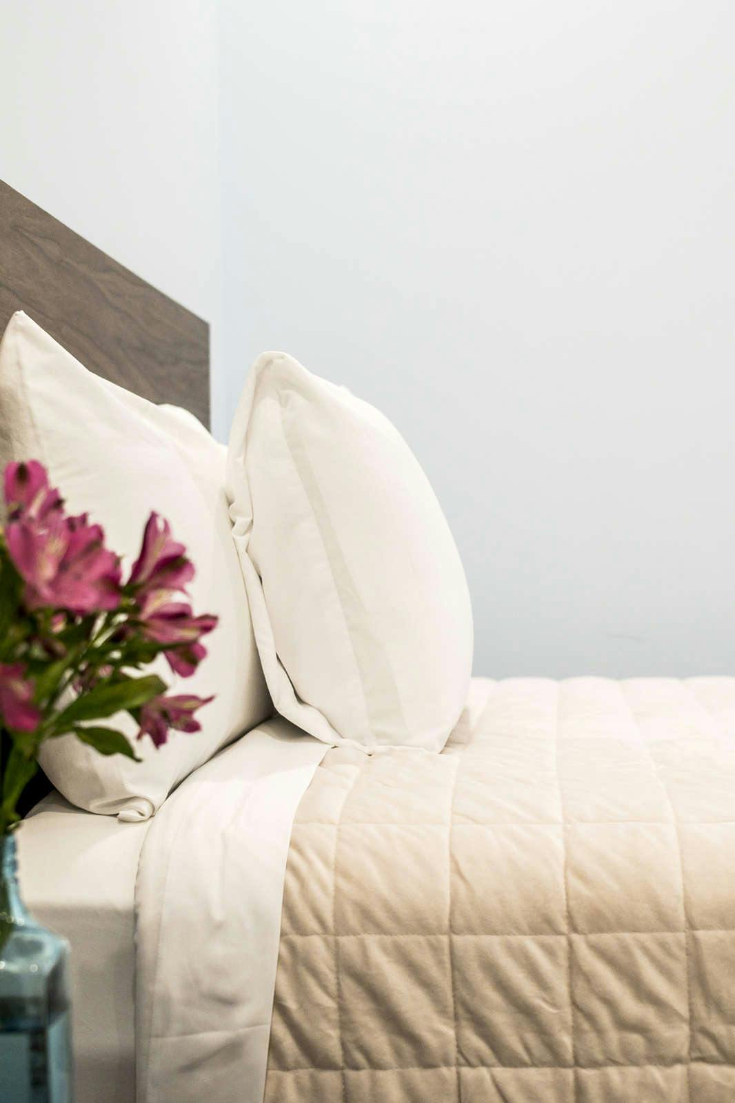 Hotel Suites de La Parra photo 3