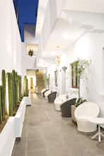Hotel Suites de La Parra photo 5