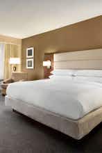 Hotel DoubleTree by Hilton Orlando Downtown photo 3