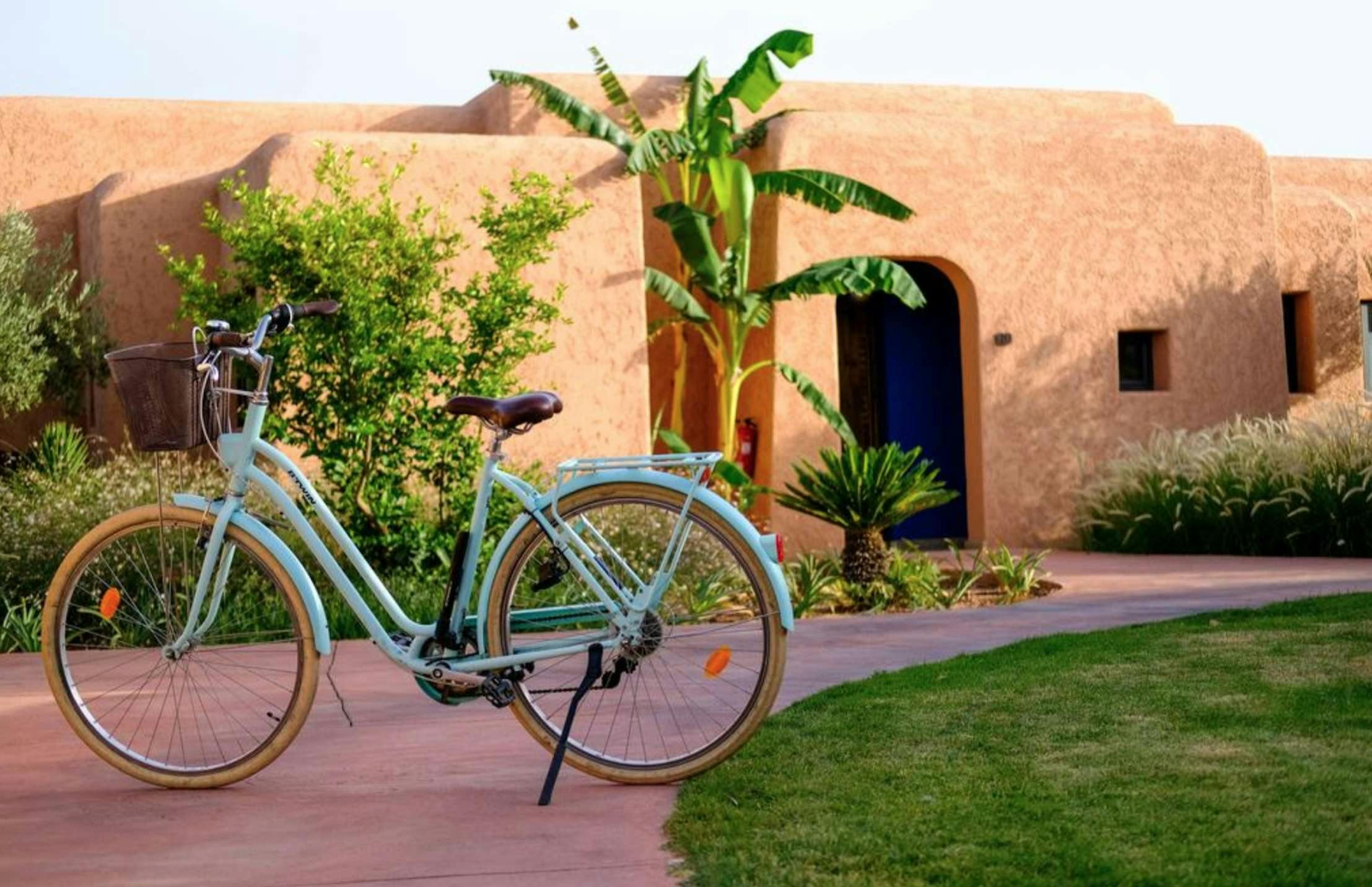 Hotel Oasis Lodge photo 3