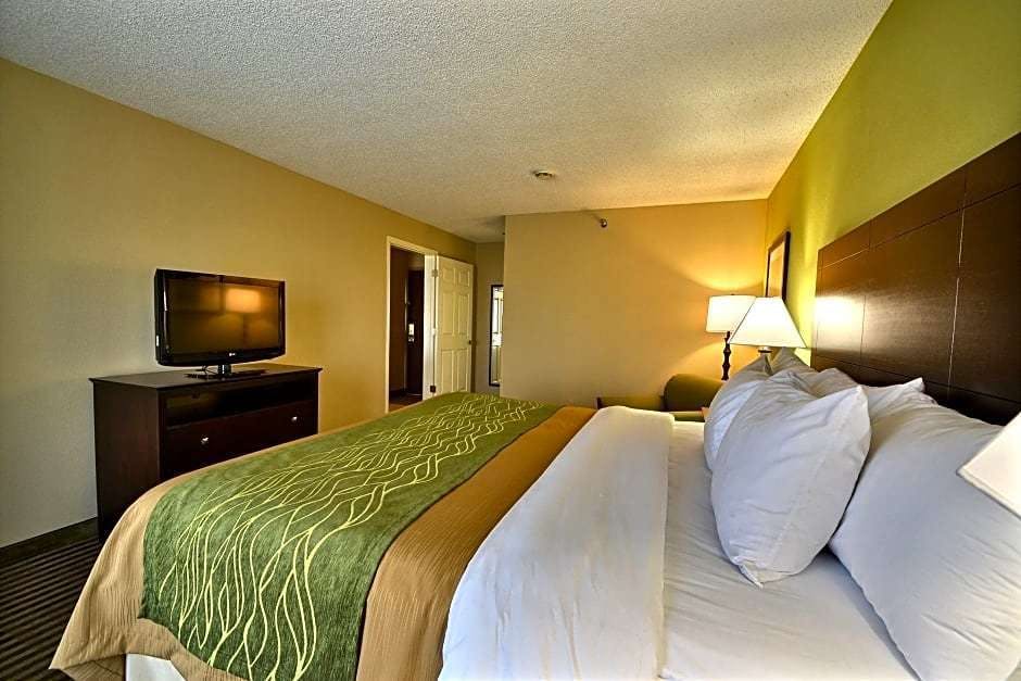 Comfort Inn Suites Clearwater Pinellas Park Clearwater