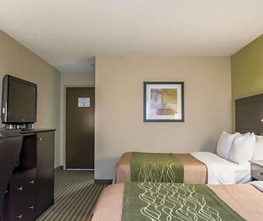 Comfort Inn Suites Clearwater Pinellas Park Clearwater