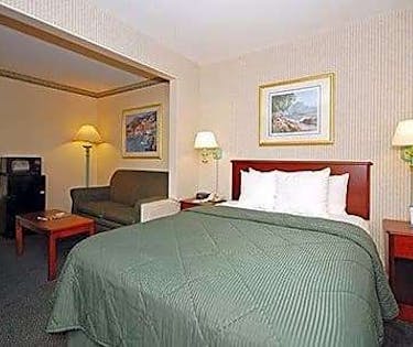 Comfort Inn Boston Boston Hoteltonight