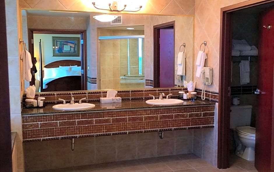 Embassy Suites By Hilton Tampa Usf Near Busch Gardens Tampa Usf