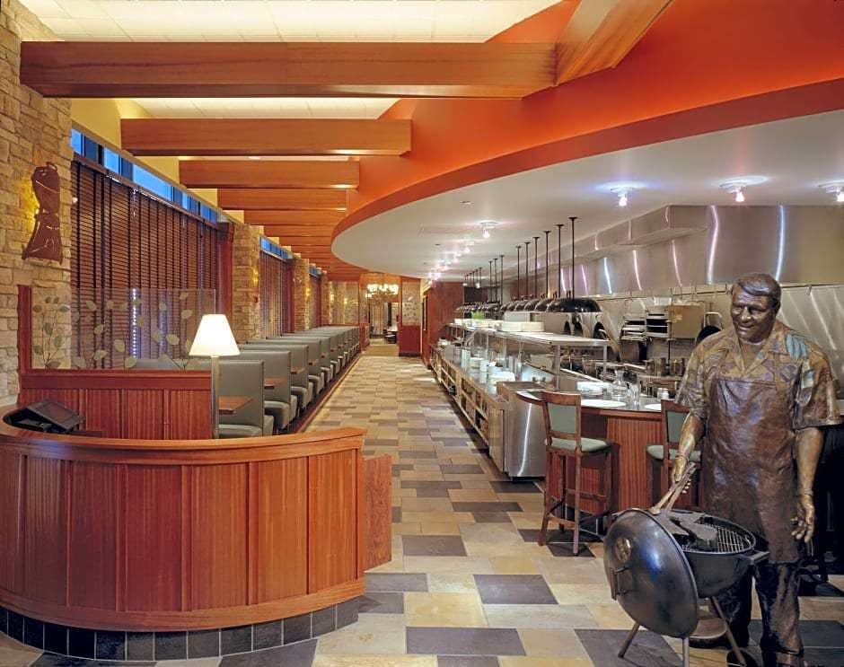 Hilton Garden Inn Chicago Downtown Magnificent Mile Chicago