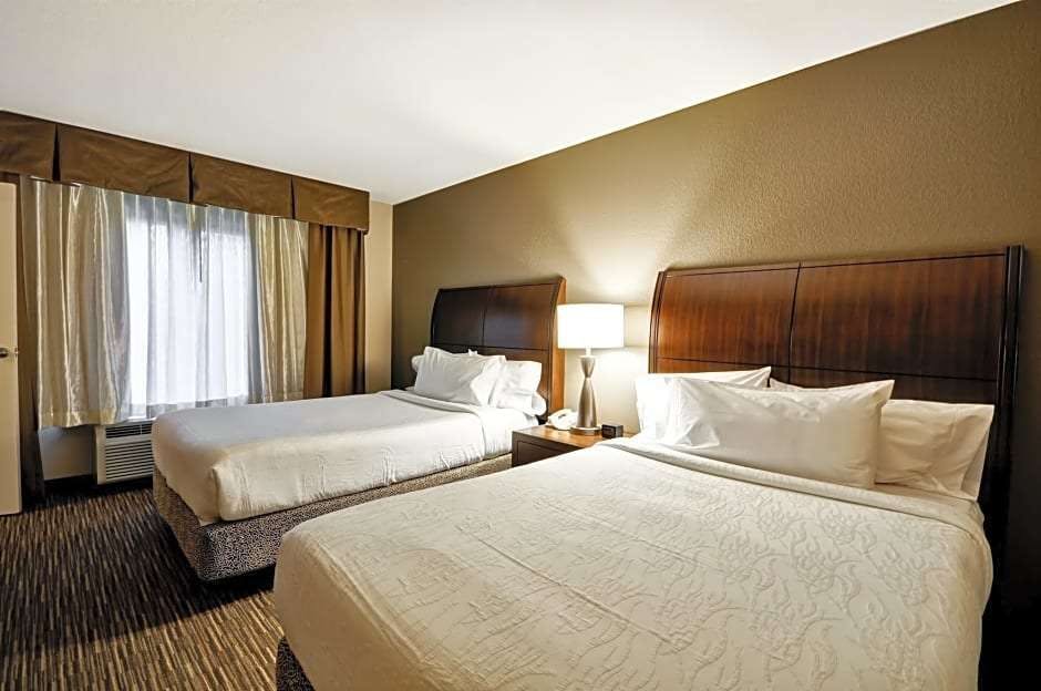 Hilton Garden Inn Tampa North Busch Gardens Port Richey