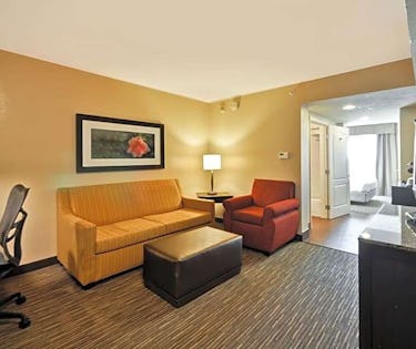 Hilton Garden Inn Tampa North Busch Gardens Port Richey