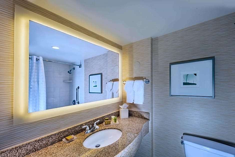 Hotel Hilton San Diego Gaslamp Quarter Hotel photo 5