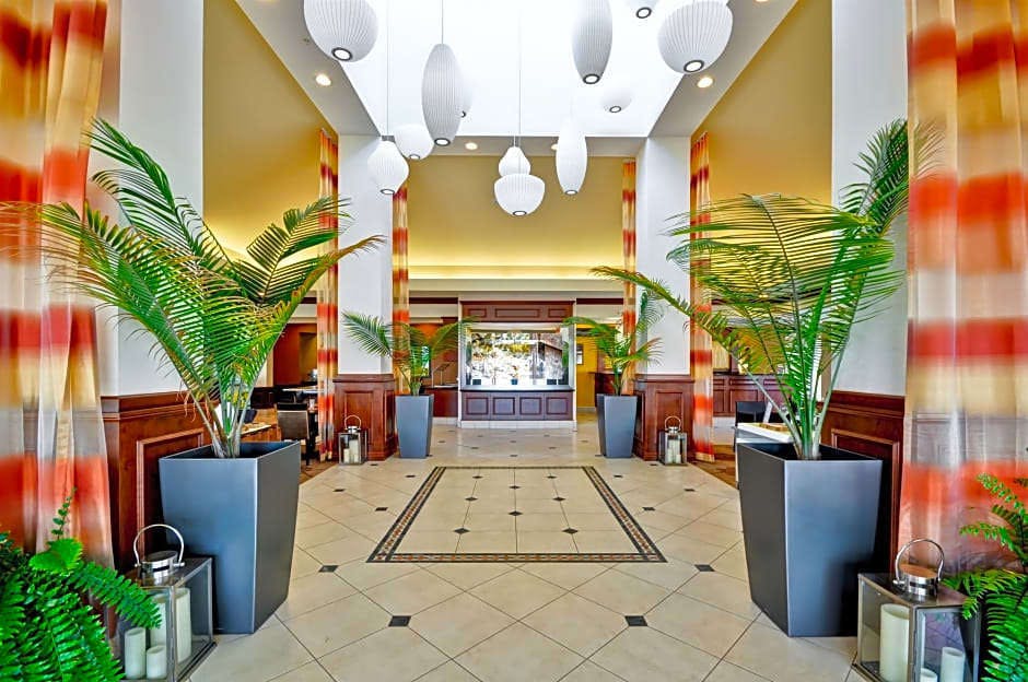 Hilton Garden Inn Tampa Northwest Oldsmar Tampa Tampa North