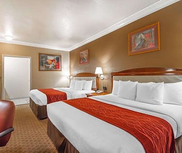 Comfort Inn And Suites San Francisco Airport North San Francisco