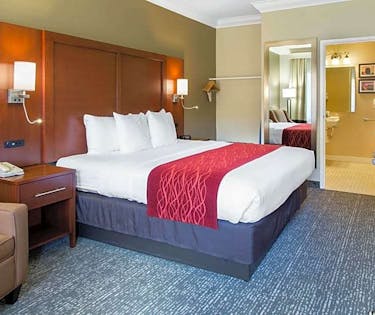 Comfort Inn And Suites San Francisco Airport North San Francisco