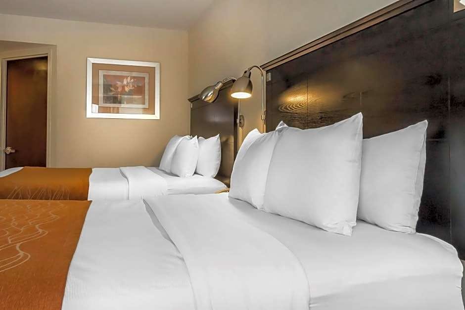 Comfort Inn Suites Laguardia Airport Queens Hoteltonight