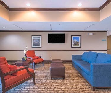 Comfort Inn Suites Maingate South Orlando Hoteltonight