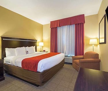 Comfort Inn Suites Maingate South Orlando Hoteltonight