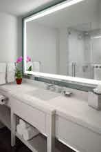 Hotel The Royal Sonesta New Orleans photo 4