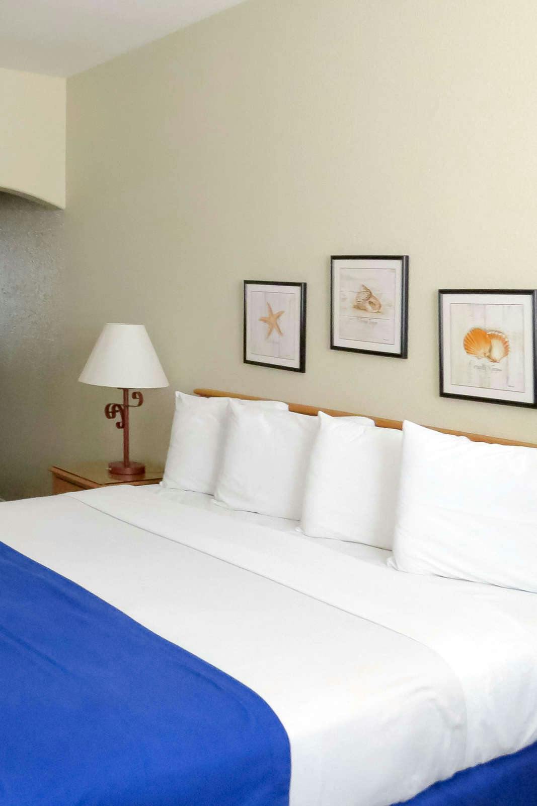 Hotel Pacific Plaza Resort photo 4