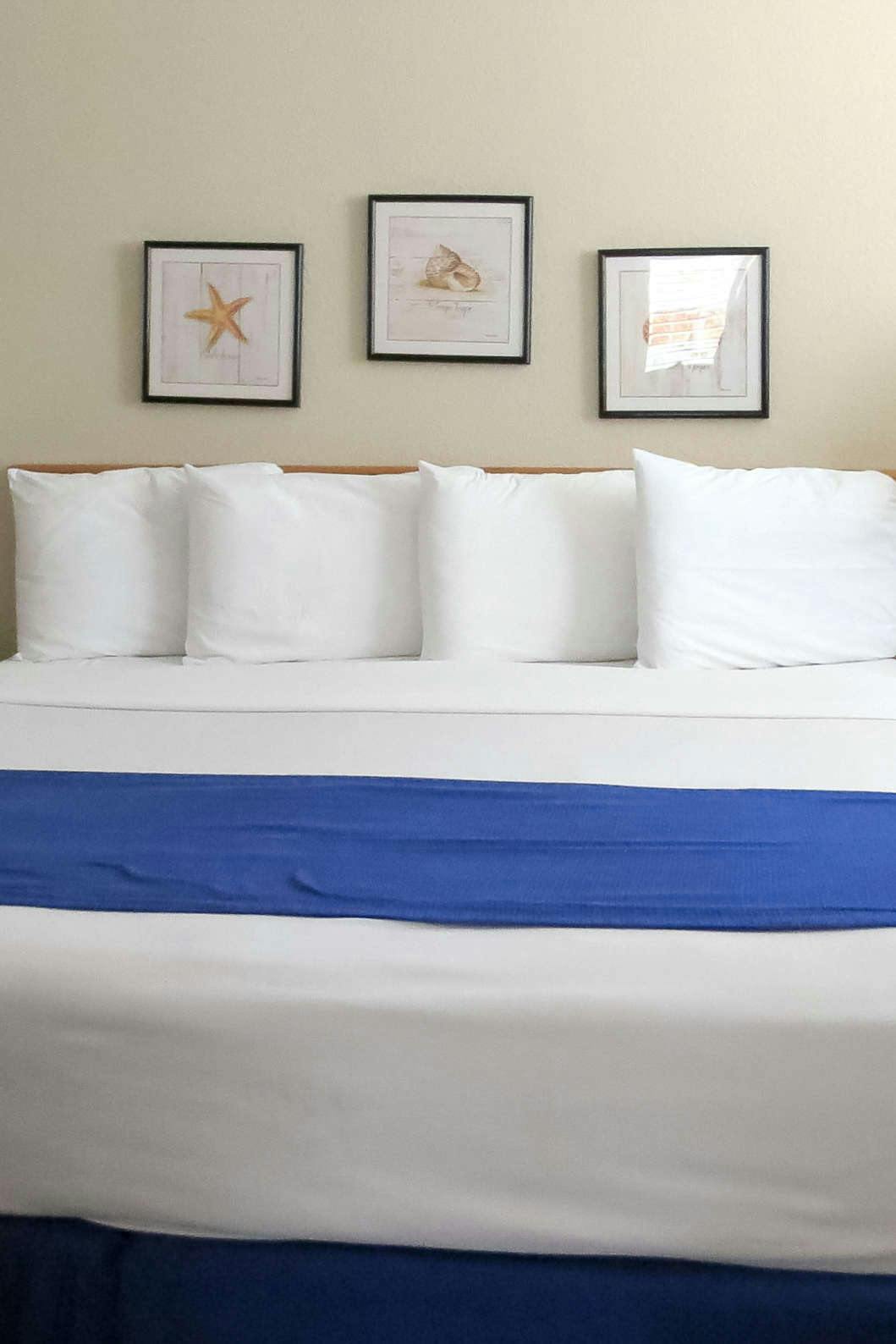 Hotel Pacific Plaza Resort photo 3